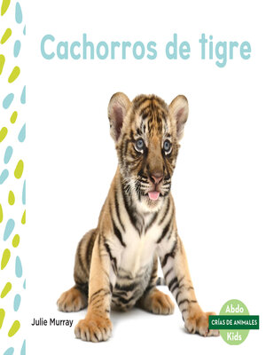 cover image of Cachorros de tigre (Tiger Cubs)